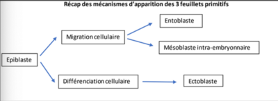 Capture d’écran 2022-08-25 à 14.50.43.png