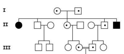 Arbre généalogique transmission récessive.PNG