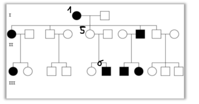 Arbre généalogique pénétrance incomplète.PNG