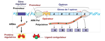 Schermata 2022-09-13 alle 20.53.36.png