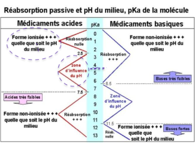 Capture d’écran 2022-09-14 à 08.42.06.png