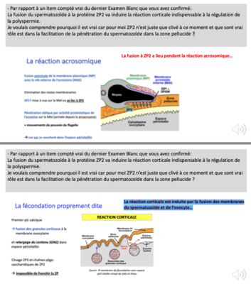 Capture d’écran 2022-09-14 à 13.53.17.png