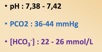 Capture d’écran 2022-09-17 à 03.59.27.png