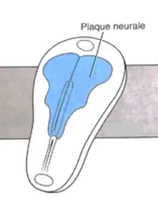 Capture d’écran 2022-09-17 à 12.03.30.png