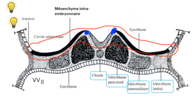 Capture d’écran 2022-06-02 à 13.33.39.png
