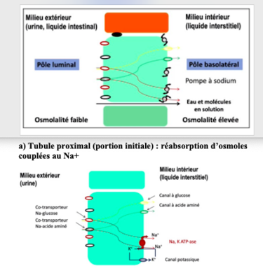 Capture d’écran 2022-09-18 à 16.38.19.png