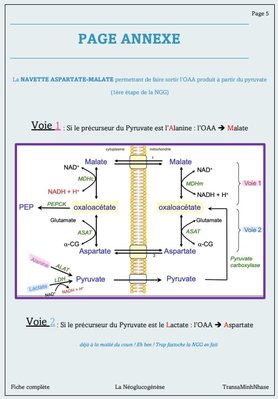 Capture web_18-9-2022_18144_.jpeg