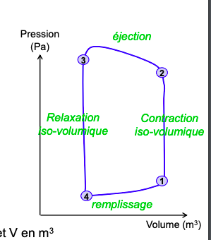 Capture d’écran 2022-09-20 à 08.17.07.png