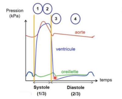 Capture d’écran 2022-09-20 à 09.16.13.png