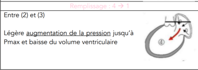 biophysique cardiaque 2.png
