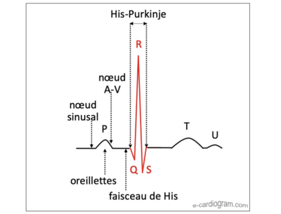 Capture d’écran 2022-09-25 à 10.41.08.png