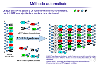 Capture d’écran 2022-09-25 à 11.28.21.png