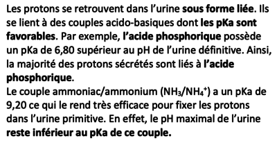 Capture d’écran 2022-09-25 à 11.30.47.png