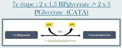Capture web_27-9-2022_161238_.jpeg