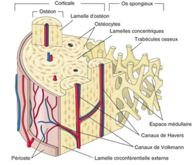 Capture d’écran 2022-09-27 à 20.49.13.png
