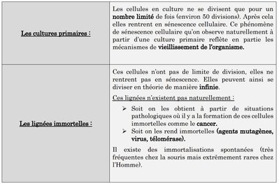 Cultures primaires- Lignées immortelles.jpg