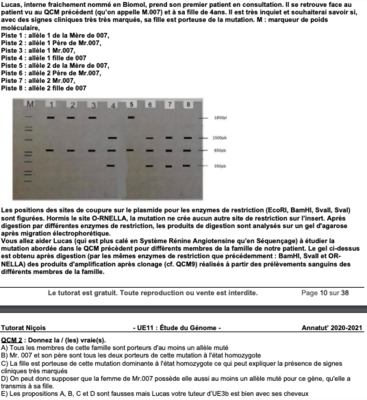 Capture d’écran 2022-09-28 à 09.37.04.png