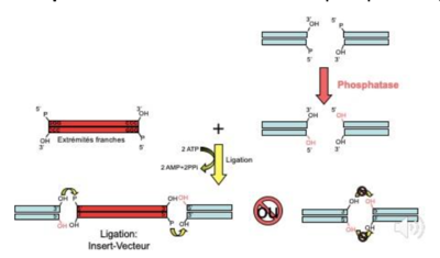 Schermata 2022-09-30 alle 10.28.24.png