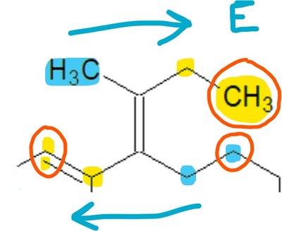 TUT2 double liaison.jpg