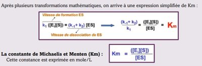 Capture web_3-10-2022_181326_.jpeg