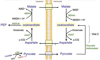 Capture web_3-10-2022_213232_drive.google.com.jpeg