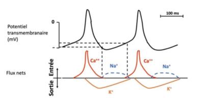 Capture d’écran 2022-10-04 à 17.26.31.png