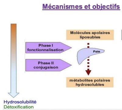 Capture d’écran 2022-10-05 à 16.54.39.jpg
