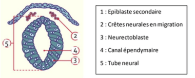 Capture d’écran 2022-10-05 à 19.28.02.png