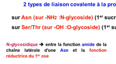 amide asparagine.png