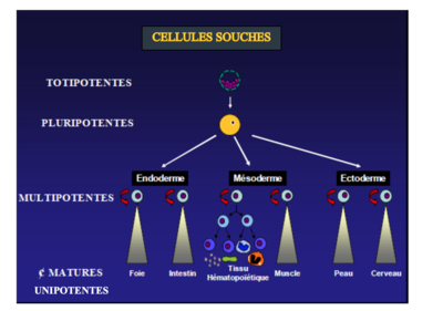 Capture d’écran 2022-10-11 à 00.52.35.png