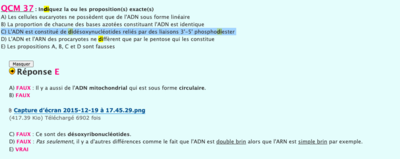 Capture d’écran 2022-10-17 à 21.55.08.png