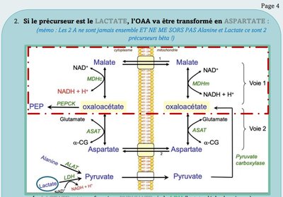 Capture web_18-10-2022_10111_.jpeg