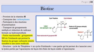 Capture web_18-10-2022_105319_.jpeg