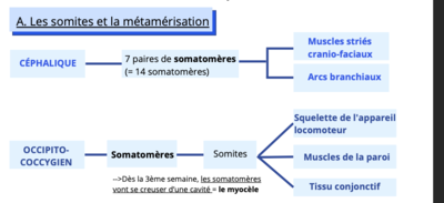 Capture d’écran 2022-10-19 à 18.24.24.png