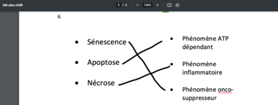 Capture d’écran 2022-10-20 à 09.49.58.png