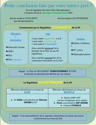Capture web_20-10-2022_12326_.jpeg