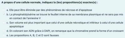 Capture d’écran 2022-10-22 à 15.28.32.png