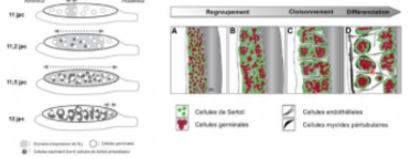 Capture d’écran 2022-10-22 à 19.00.26.png