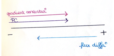 Capture d’écran 2022-10-25 à 13.27.37.png