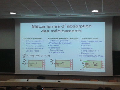 2012-02-07 11.21.52.jpg