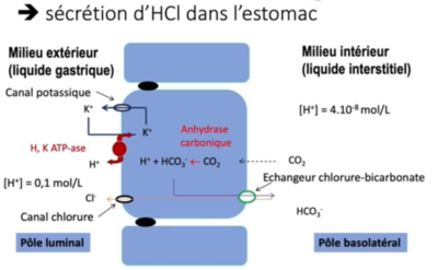 Capture d’écran 2022-10-29 à 00.19.40.png