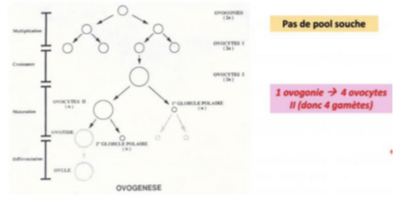 Capture d’écran 2022-10-30 à 14.13.33.png