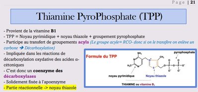 Capture web_5-11-2022_91022_.jpeg