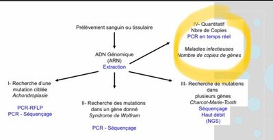 312895527_639352067632853_5471782565479369875_n (1).jpg