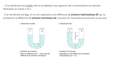 Capture d’écran 2022-11-09 à 09.49.43.png