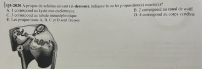 Capture d’écran 2022-11-10 à 18.07.50.png