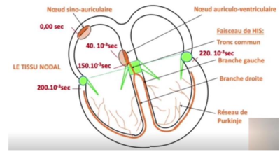 Capture d’écran 2022-11-13 à 01.21.27.png