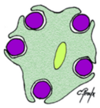 Capture d’écran 2022-11-15 à 08.30.49.png