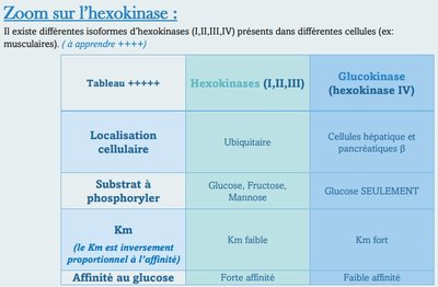 Capture web_15-11-2022_122348_.jpeg