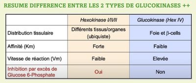 Capture web_15-11-2022_122357_.jpeg